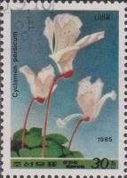 (1985-067) Марка Северная Корея "Цикламен персидский"   Цветы III Θ